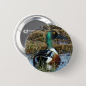 B26 Löffelente Button (Vorne & Hinten)