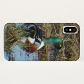 B26 Northern Shoveler Case-Mate iPhone Hülle (Rückseite (Horizontal))