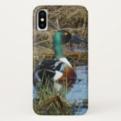 B26 Northern Shoveler Case-Mate iPhone Hülle (Rückseite)