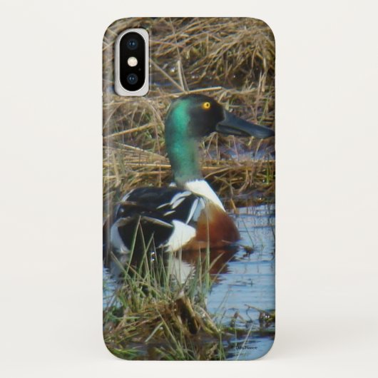 B26 Northern Shoveler Case-Mate iPhone Hülle (Rückseite)