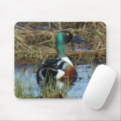 B26 Northern Shoveler Drake Mousepad (Mit Mouse)