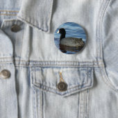 B27 Blässhuhn Button (Beispiel)