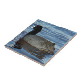 B27 Häufig Fliese (Seite)