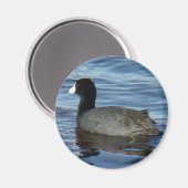 B27 Häufig Magnet (Vorderseite/Rückseite)