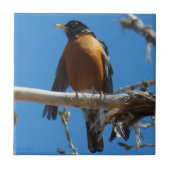 B28 Robin Fliese (Vorderseite)