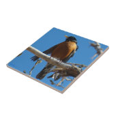 B28 Robin Fliese (Seite)