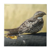 B29 Gemeinsames Nachtwache Fliese (Vorderseite)