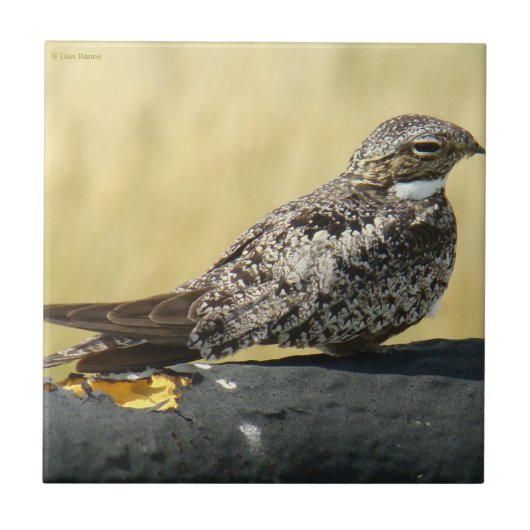 B29 Gemeinsames Nachtwache Fliese (Vorderseite)