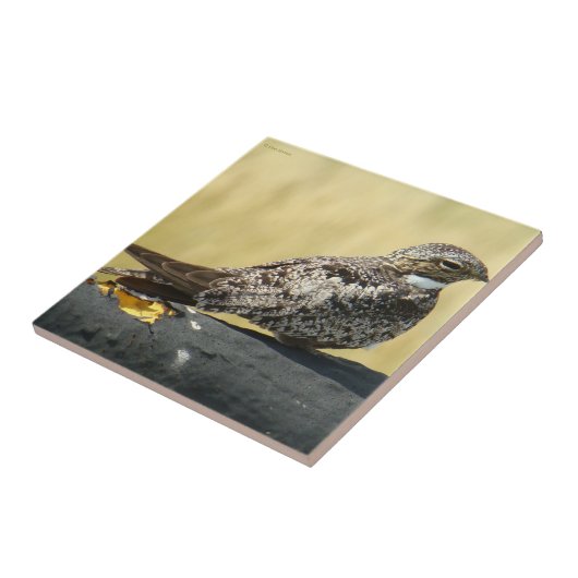 B29 Gemeinsames Nachtwache Fliese (Seite)