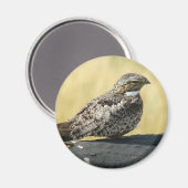 B29 Gemeinsames Nachtwache Magnet (Vorderseite/Rückseite)