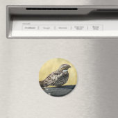 B29 Gemeinsames Nachtwache Magnet (In Situ (Geschirrspüler))