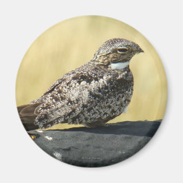 B29 Gemeinsames Nachtwache Magnet