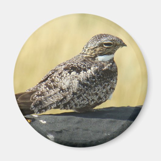 B29 Gemeinsames Nachtwache Magnet (Vorne)