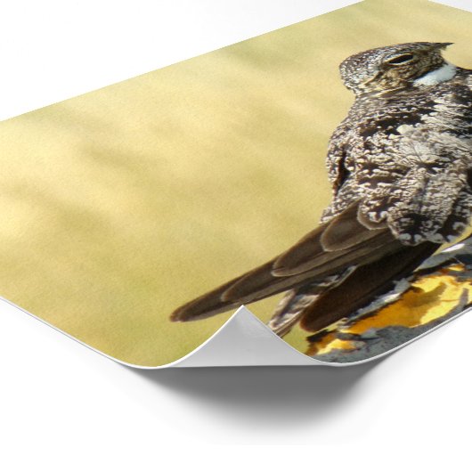 B29 Gemeinsames Nachtwache Poster (Ecke)