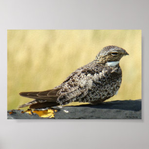 B29 Gemeinsames Nachtwache Poster