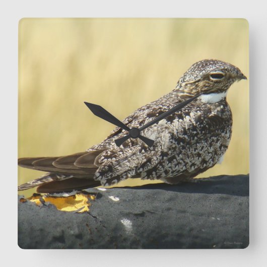 B29 Gemeinsames Nachtwache Quadratische Wanduhr (Vorderseite)