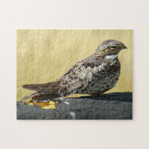 B29 Nachtschwalbe Puzzle