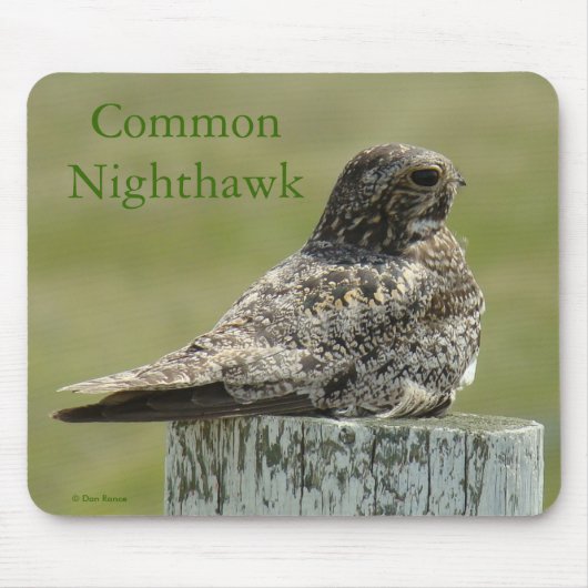 B2 Common Nighthawk Mousepad (Vorne)
