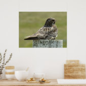 B2 Gemeinsames Nachtwache Poster (Küche)