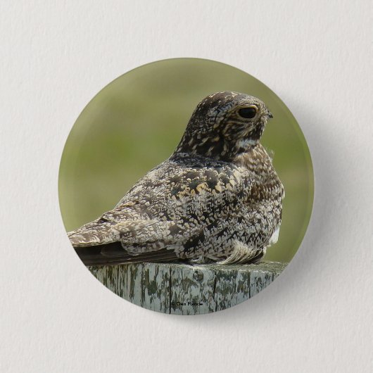 B2 Nighthawk Button (Vorderseite)