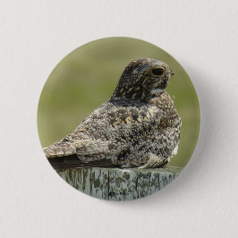 B2 Nighthawk Button