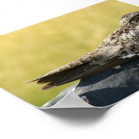 B30 Gemeinsames Nachtwache Poster (Ecke)