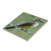 B31 Western Kingbird Fliese (Seite)