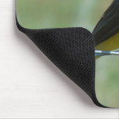 B31 Western Kingbird Mousepad (Ecke)