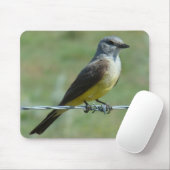 B31 Western Kingbird Mousepad (Mit Mouse)