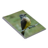 B31 Western Kingbird Notizblock (Rechte Seite)