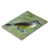 B31 Western Kingbird Notizblock (Linke Seite)