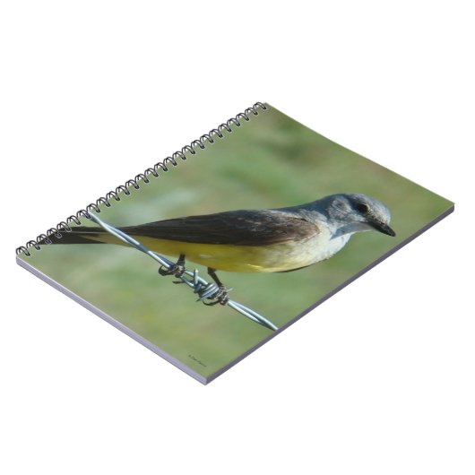 B31 Western Kingbird Notizblock (Linke Seite)