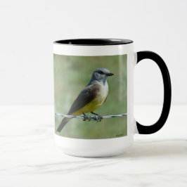 B31 Western Kingbird Tasse