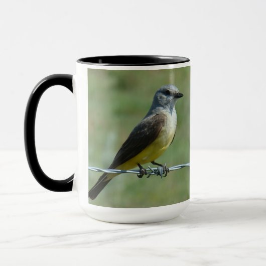 B31 Western Kingbird Tasse (Links)