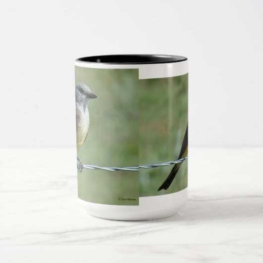 B31 Western Kingbird Tasse (Zentrum)