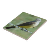 B32 Western Kingbird Fliese (Seite)
