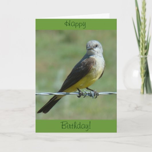 B32 Western Kingbird Karte (Vorderseite)