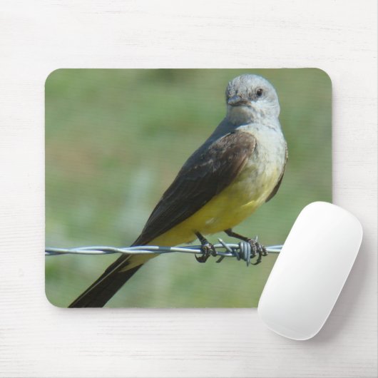 B32 Western Kingbird Mousepad (Mit Mouse)