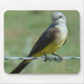 B32 Western Kingbird Mousepad (Vorne)