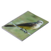 B32 Western Kingbird Notizblock (Linke Seite)