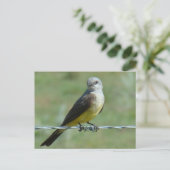 B32 Western Kingbird Postkarte (Stehend Vorderseite)