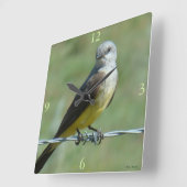 B32 Western Kingbird Quadratische Wanduhr (Winkel)