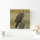 B33 Swainsons Falke Quadratische Wanduhr (Zuhause)