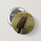 B33 Swainson's Hawk Button (Vorne & Hinten)
