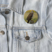 B33 Swainson's Hawk Button (Beispiel)