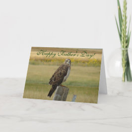 B33 Swainson's Hawk Karte