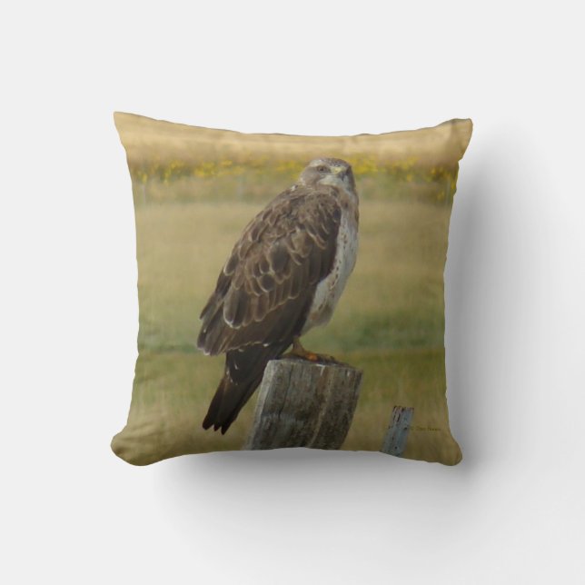 B33 Swainson's Hawk Kissen (Vorderseite)