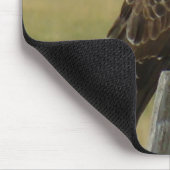 B33 Swainson's Hawk Mousepad (Ecke)