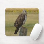 B33 Swainson's Hawk Mousepad (Mit Mouse)