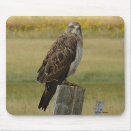 B33 Swainson's Hawk Mousepad